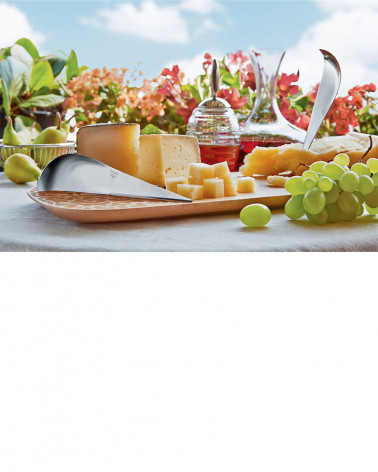 Couteau à fromage Antechinus - Alessi