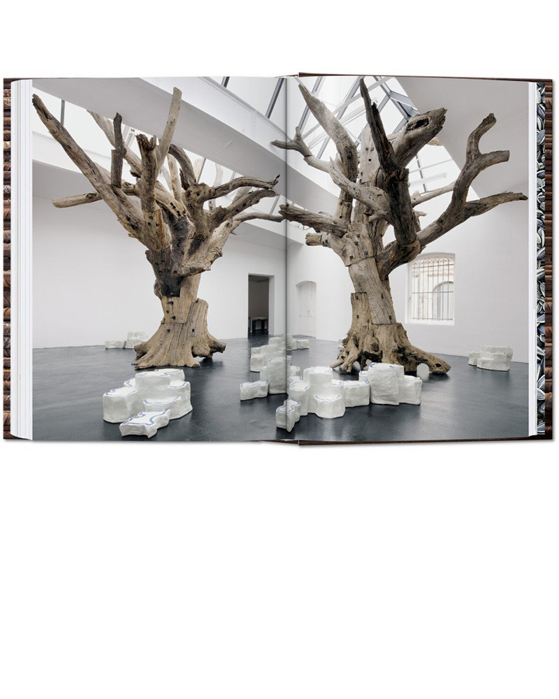 Livre Ai Weiwei 40th Ed. - Taschen