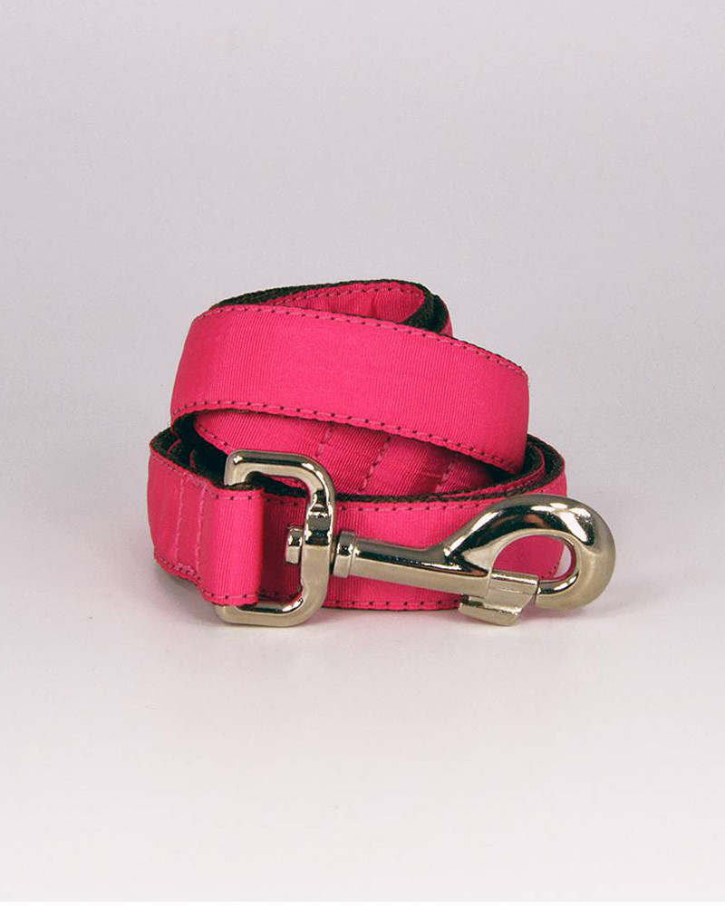 Colliers pour chien Solid - Brott