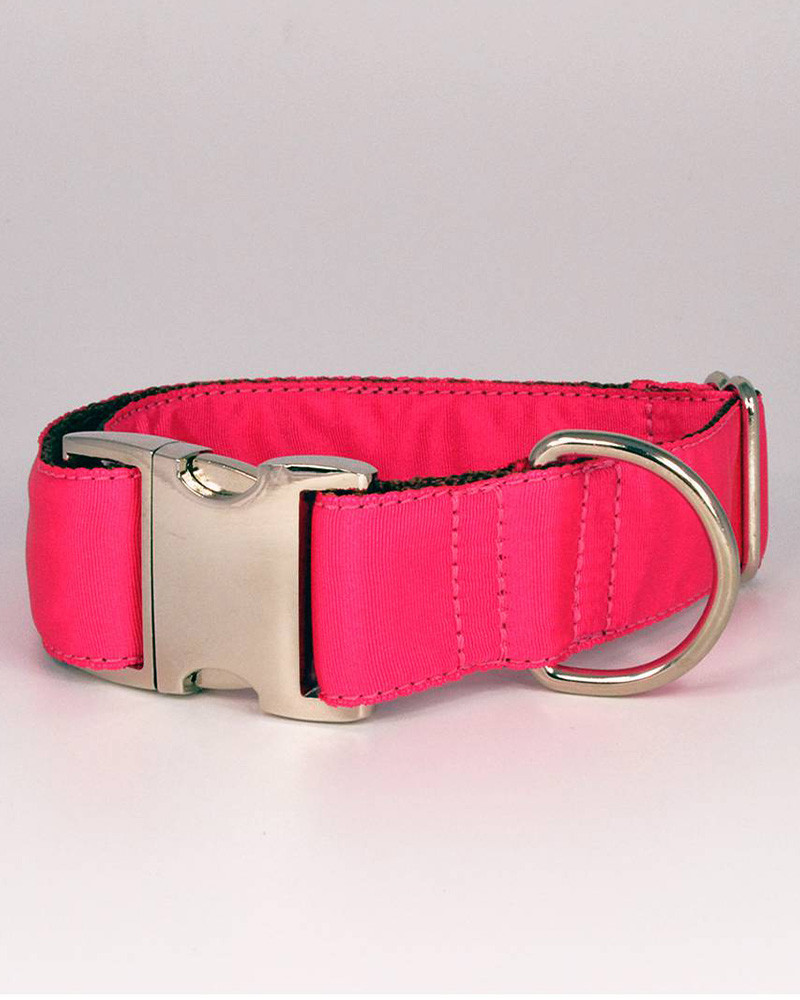 Colliers pour chien Solid - Brott