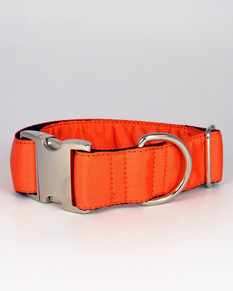 Colliers pour chien Solid - Brott