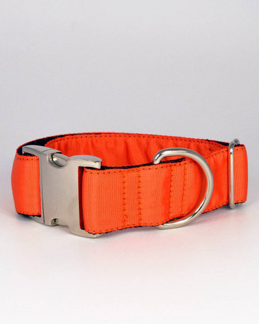 Colliers pour chien Solid - Brott