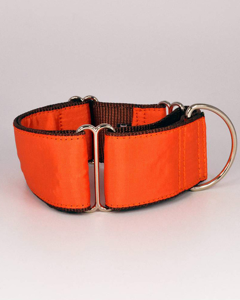 Colliers pour chien Solid - Brott