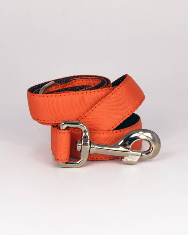 Colliers pour chien Solid - Brott