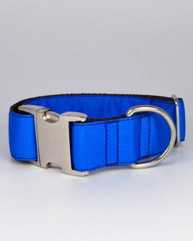Colliers pour chien Solid - Brott