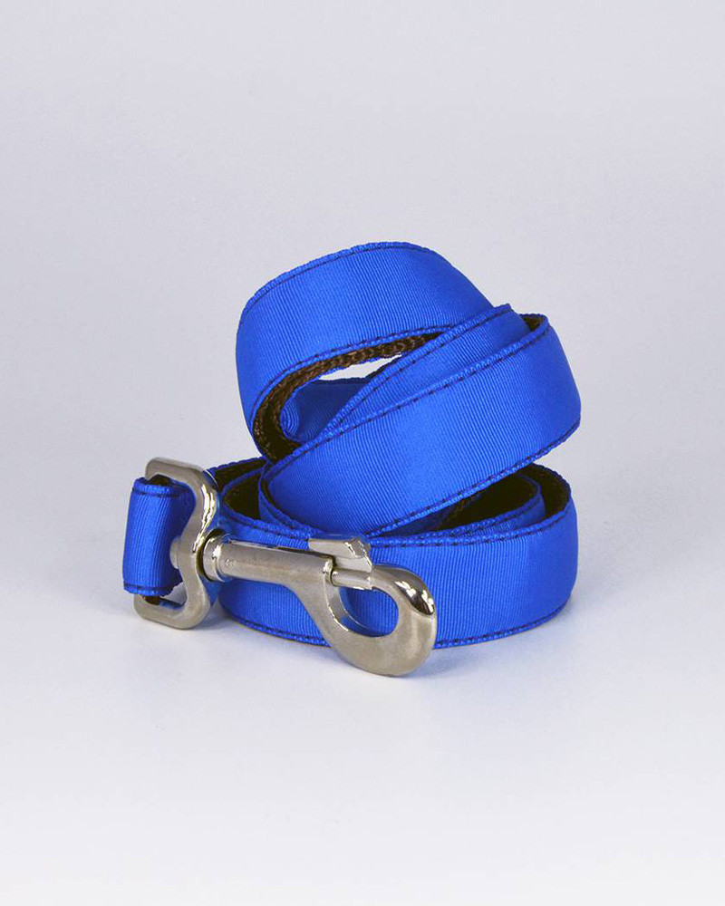Colliers pour chien Solid - Brott
