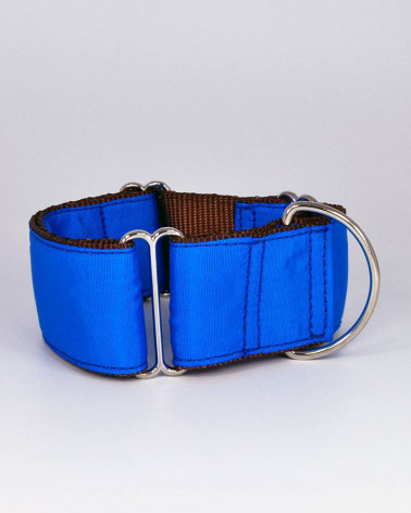 Colliers pour chien Solid - Brott