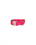 Colliers pour chien Solid - Brott