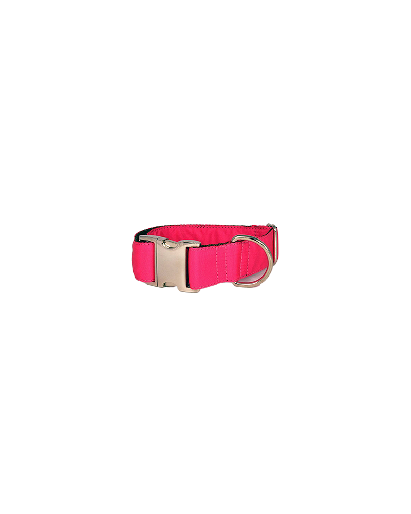 Colliers pour chien Solid - Brott