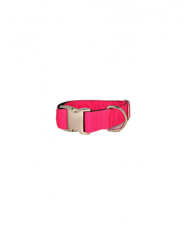 Colliers pour chien Solid - Brott