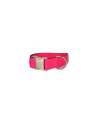Colliers pour chien Solid - Brott