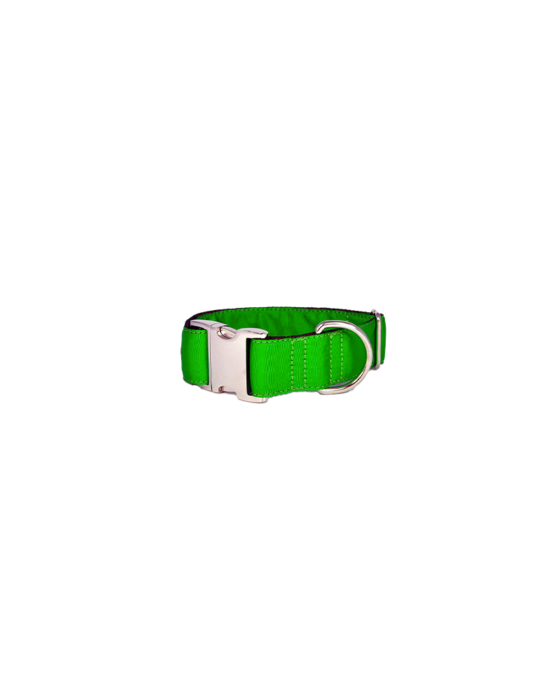 Colliers pour chien Solid - Brott