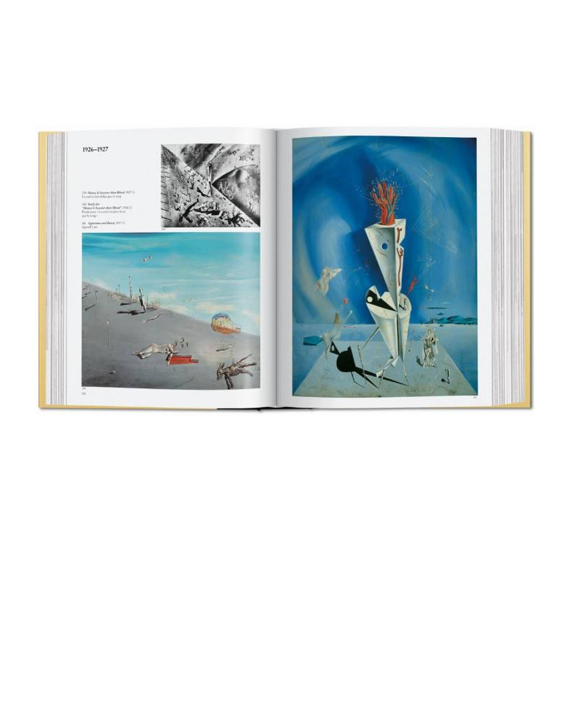 Livre Dali L'Oeuvre Peint - Taschen