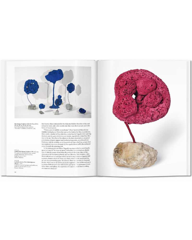 Livre Yves Klein - Taschen