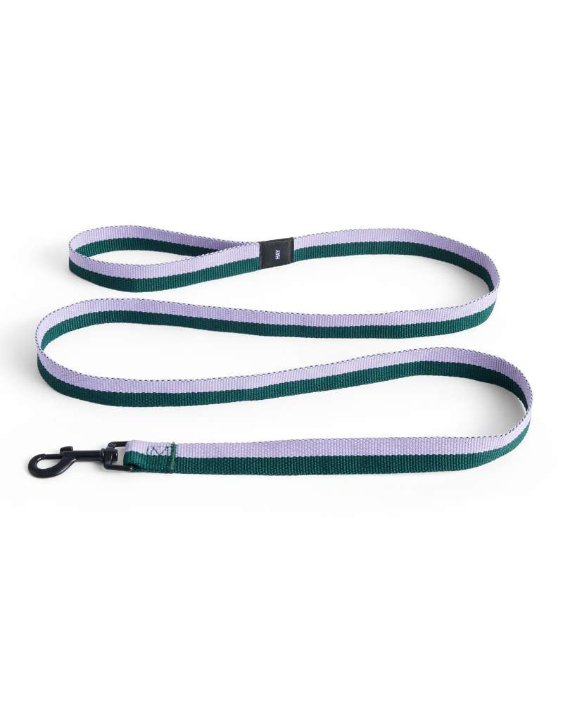 Laisse pour Chiens Plate / Tressé - HAY