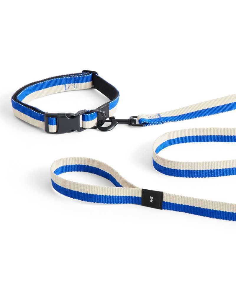 Laisse pour Chiens Plate / Tressé - HAY