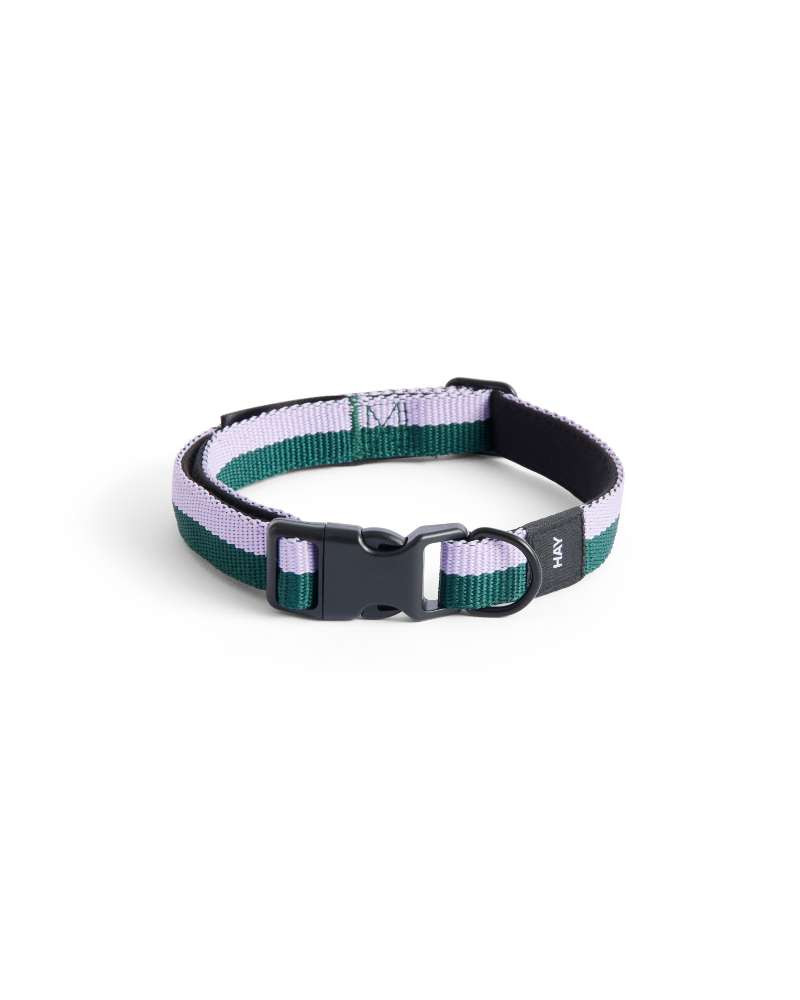 Collier pour Chiens Flat - HAY