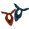 Foulard 676 Moismont