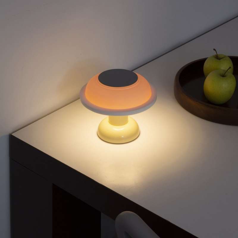Portable Lamp