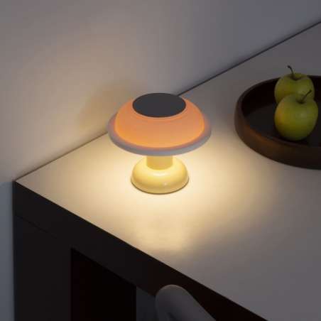 Portable Lamp