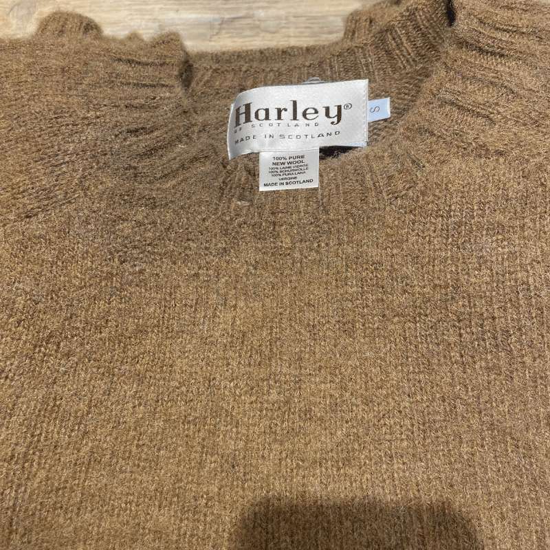 Pull Shaggy Harley