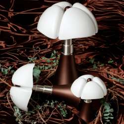 Pipistrello Bronze