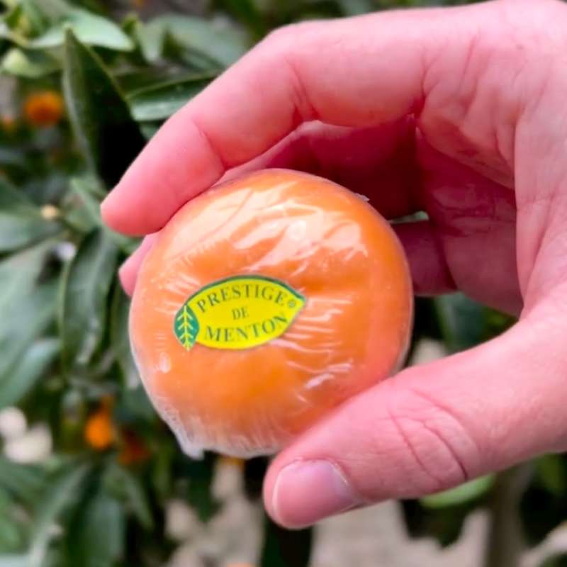 Savon Mandarine