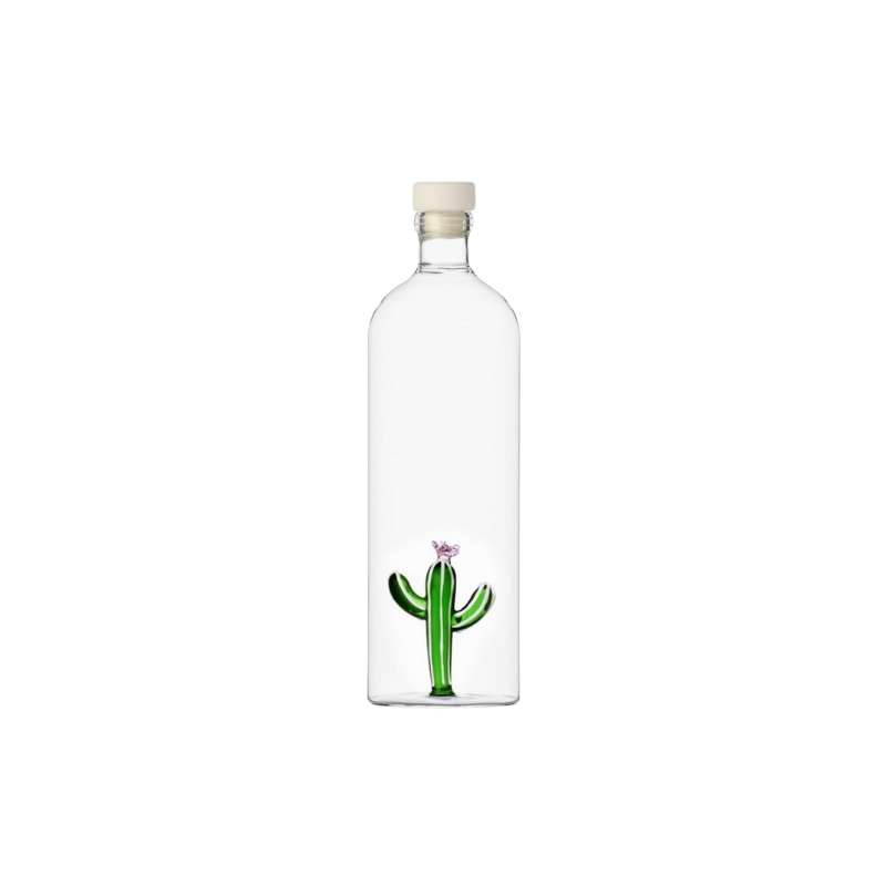 Bottle Cactus