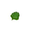 Plat Feuille Ceramique