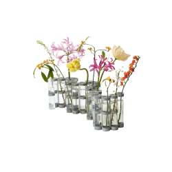 Vase D'avril - Tse Tse