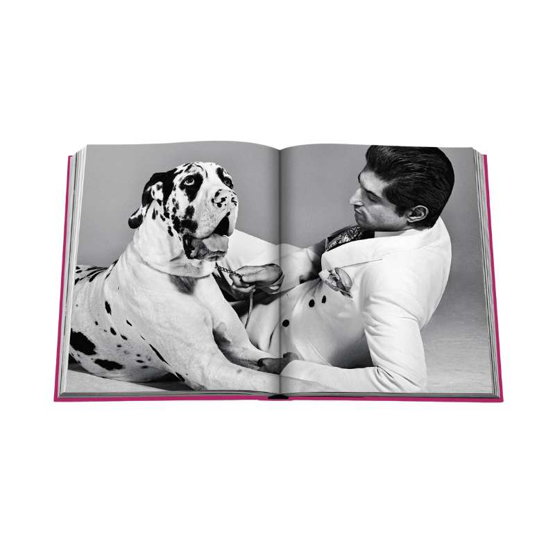 Chic Dogs