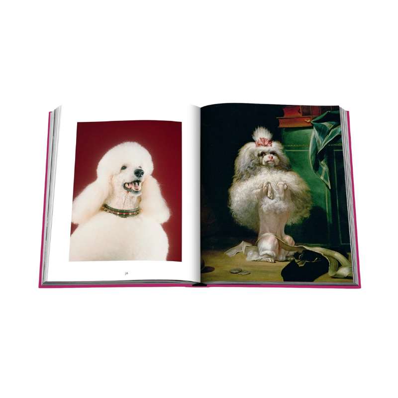 Chic Dogs