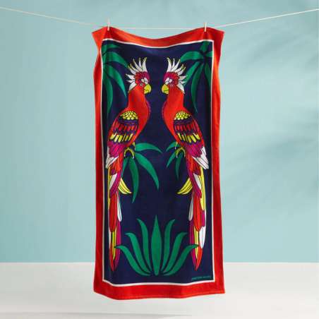 Raquette Jonathan Adler
