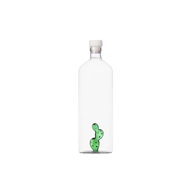 Bottle Desert Plants