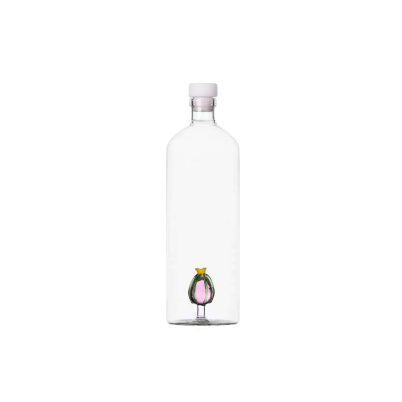 Bottle Desert Plants