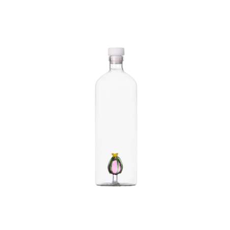 Bottle Desert Plants