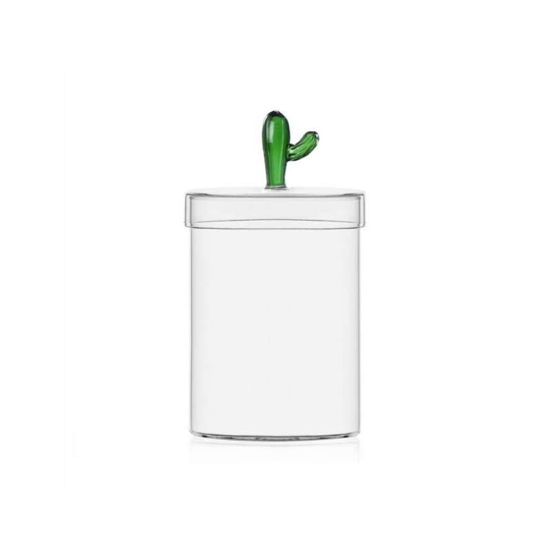 Box Desert Plants