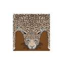 Housse De Coussin 40 Inoui