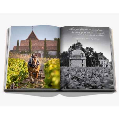 Wine & Travel France (french)
