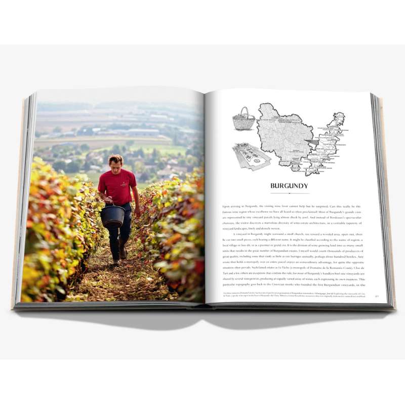 Wine & Travel France (french)