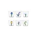 Tumbler Botanica