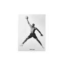 Air Jordan Classic