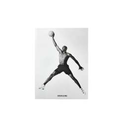 Air Jordan Classic