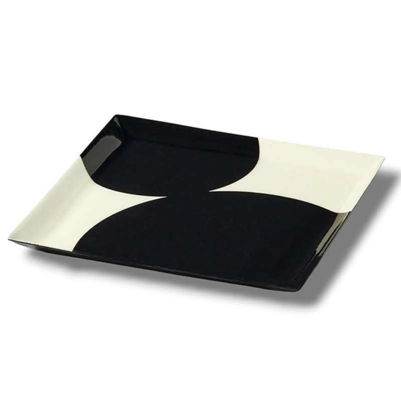 Vide Poche Geometrica