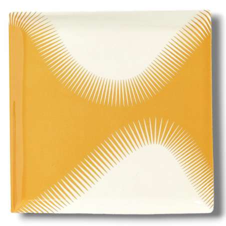 Vide Poche Geometrica