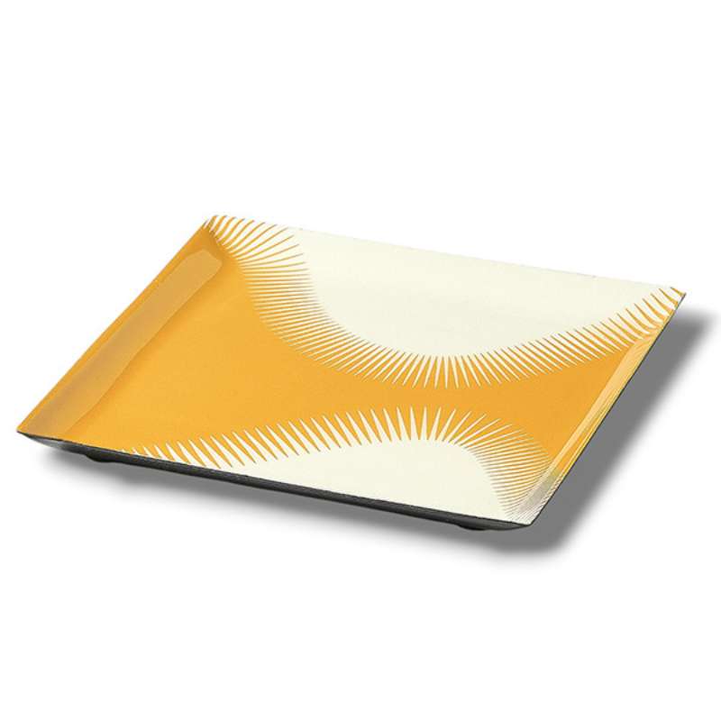 Vide Poche Geometrica