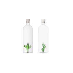 Bottle Desert Plants