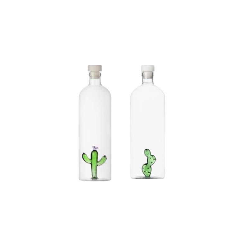 Bottle Desert Plants