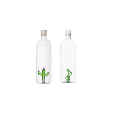 Bottle Desert Plants