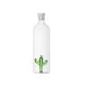 Bottle Desert Plants